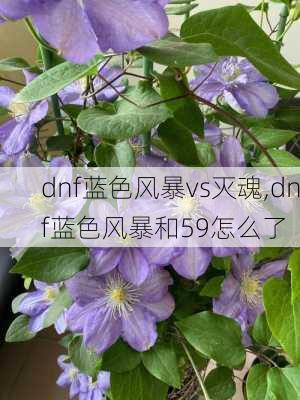 dnf蓝色风暴vs灭魂,dnf蓝色风暴和59怎么了