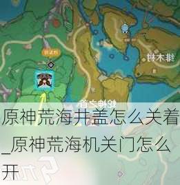 原神荒海井盖怎么关着_原神荒海机关门怎么开