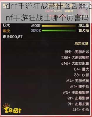 dnf手游狂战带什么武器,dnf手游狂战士哪个厉害吗