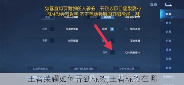 王者荣耀如何弄到标签,王者标签在哪