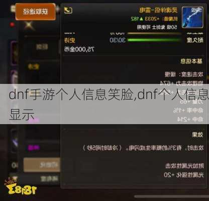 dnf手游个人信息笑脸,dnf个人信息显示