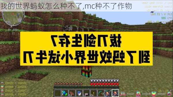 我的世界蚂蚁怎么种不了,mc种不了作物