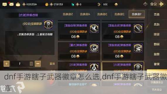 dnf手游瞎子武器徽章怎么选,dnf手游瞎子武器徽章