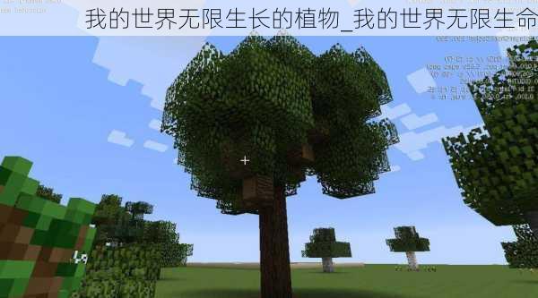 我的世界无限生长的植物_我的世界无限生命