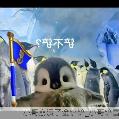 小哥崩溃了金铲铲_小哥铲雪