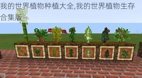 我的世界植物种植大全,我的世界植物生存合集版