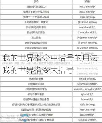 我的世界指令中括号的用法_我的世界指令大括号