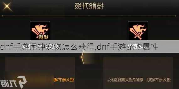 dnf手游闹钟宠物怎么获得,dnf手游宠物属性