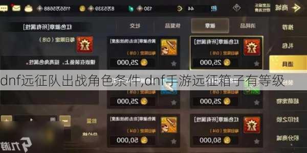 dnf远征队出战角色条件,dnf手游远征箱子有等级