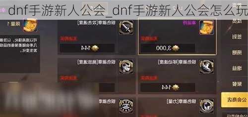 dnf手游新人公会_dnf手游新人公会怎么玩