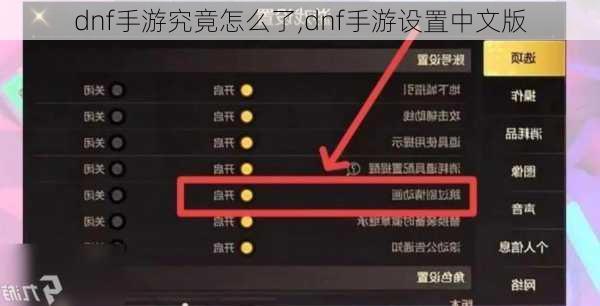 dnf手游究竟怎么了,dnf手游设置中文版