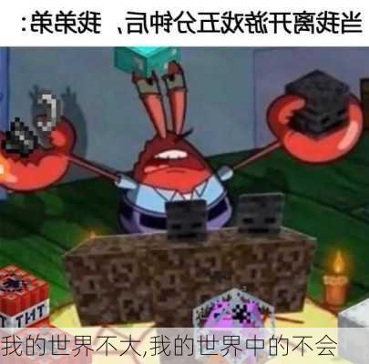 我的世界不大,我的世界中的不会