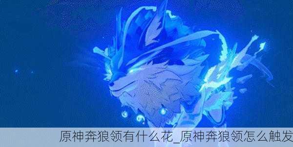 原神奔狼领有什么花_原神奔狼领怎么触发