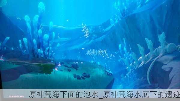 原神荒海下面的池水_原神荒海水底下的遗迹