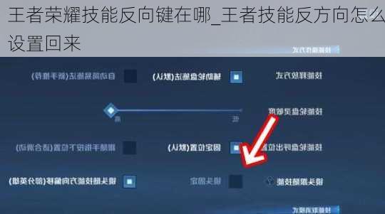 王者荣耀技能反向键在哪_王者技能反方向怎么设置回来