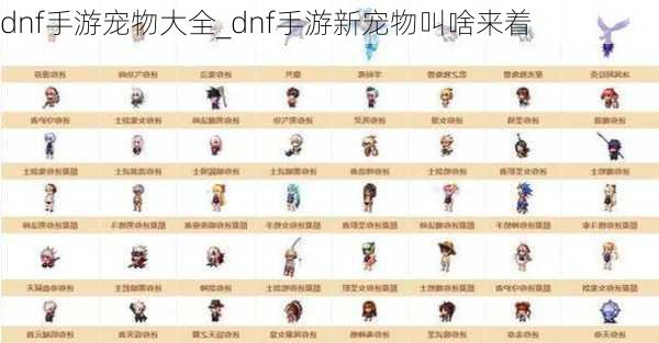 dnf手游宠物大全_dnf手游新宠物叫啥来着