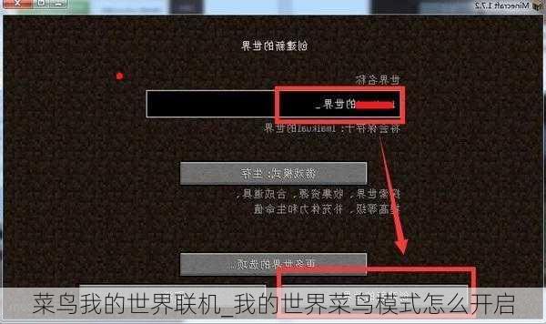 菜鸟我的世界联机_我的世界菜鸟模式怎么开启