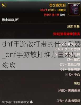 dnf手游散打带的什么武器_dnf手游散打堆力量还是物攻