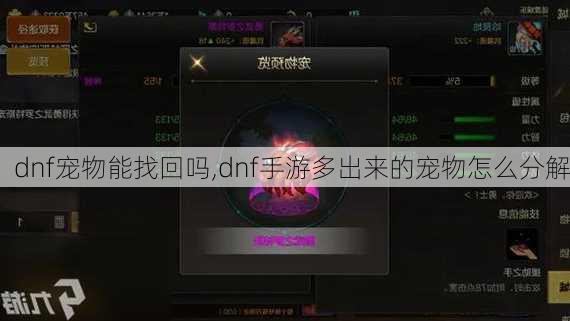 dnf宠物能找回吗,dnf手游多出来的宠物怎么分解