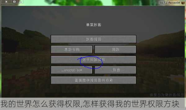 我的世界怎么获得权限,怎样获得我的世界权限方块