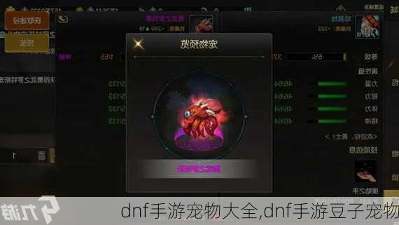 dnf手游宠物大全,dnf手游豆子宠物