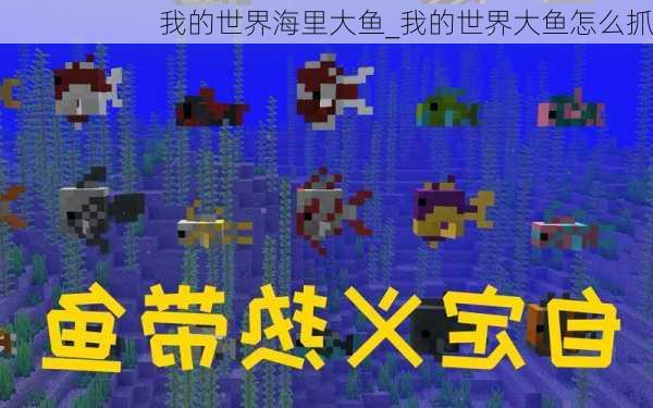 我的世界海里大鱼_我的世界大鱼怎么抓