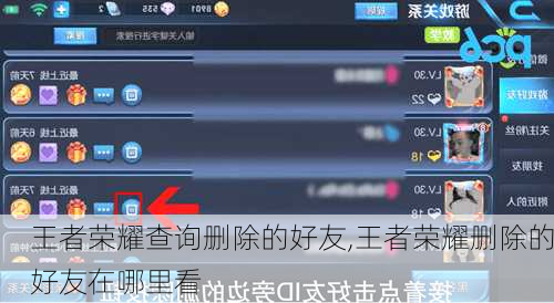 王者荣耀查询删除的好友,王者荣耀删除的好友在哪里看