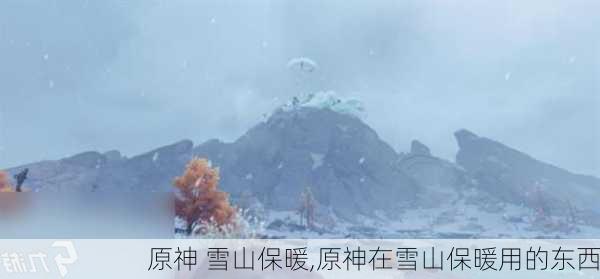 原神 雪山保暖,原神在雪山保暖用的东西