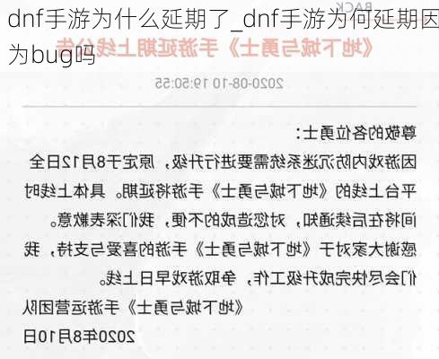 dnf手游为什么延期了_dnf手游为何延期因为bug吗