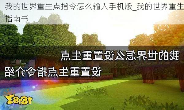 我的世界重生点指令怎么输入手机版_我的世界重生指南书