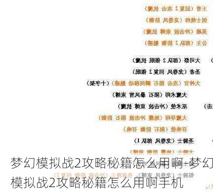 梦幻模拟战2攻略秘籍怎么用啊-梦幻模拟战2攻略秘籍怎么用啊手机