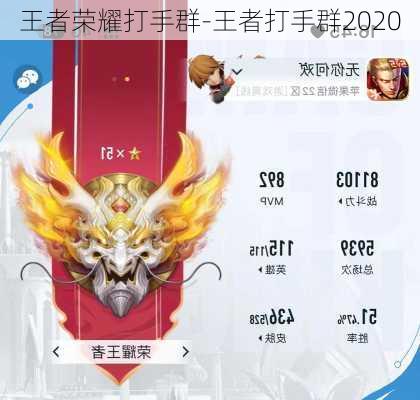 王者荣耀打手群-王者打手群2020