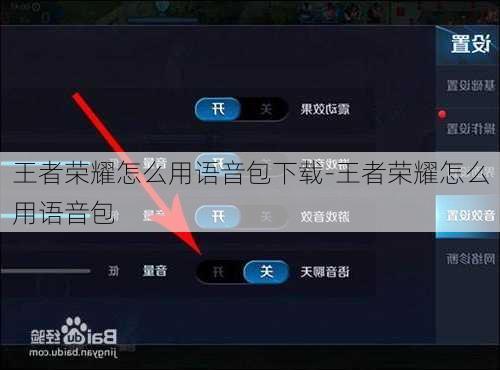 王者荣耀怎么用语音包下载-王者荣耀怎么用语音包