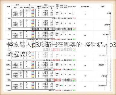 怪物猎人p3攻略书在哪买的-怪物猎人p3流程攻略