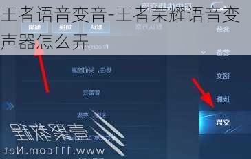 王者语音变音-王者荣耀语音变声器怎么弄