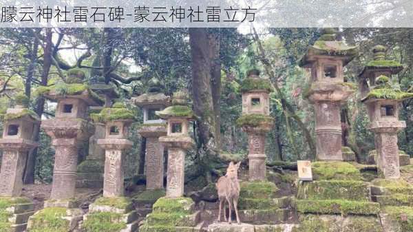 朦云神社雷石碑-蒙云神社雷立方