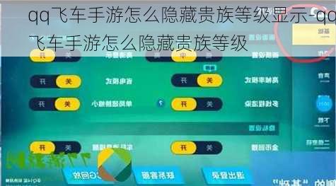 qq飞车手游怎么隐藏贵族等级显示-qq飞车手游怎么隐藏贵族等级