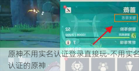 原神不用实名认证登录直接玩-不用实名认证的原神