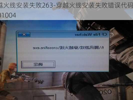 穿越火线安装失败263-穿越火线安装失败错误代码7001004